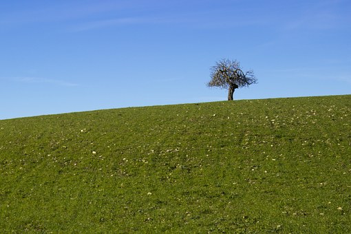 127539
