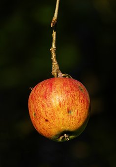 315681
