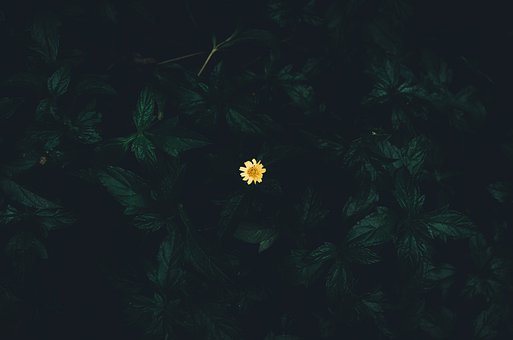 257040