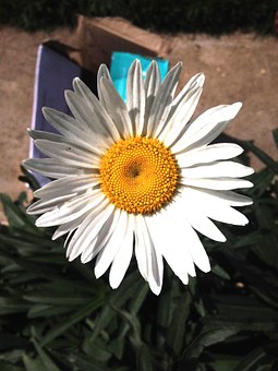 244025