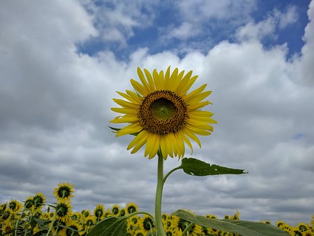 104955