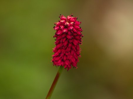 345629