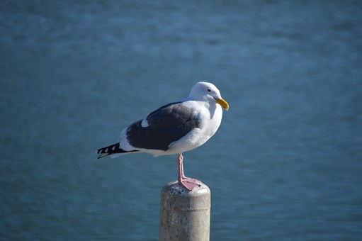 7823