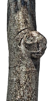135044