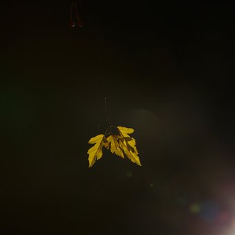 270917