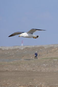 201343