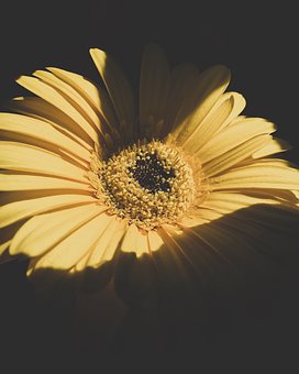 103947