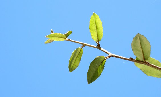 156745