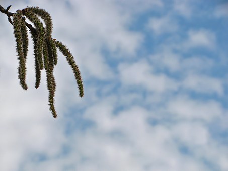 155190