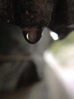 333806