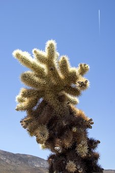 55133