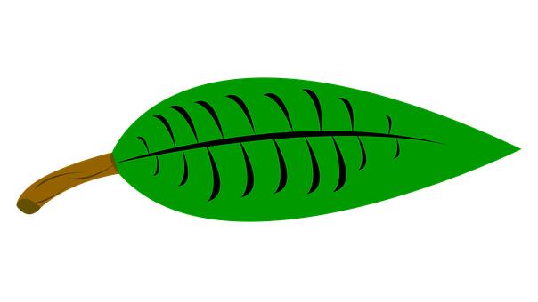 246570