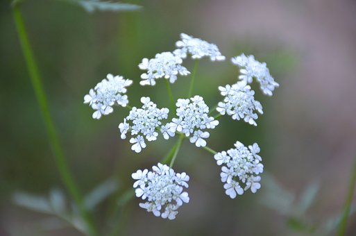 52015