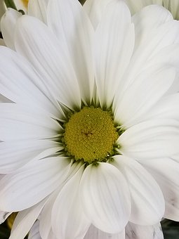 84877