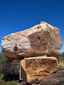 49838