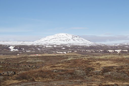 120016