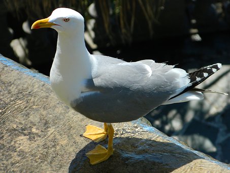 82490