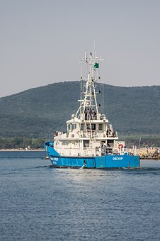 46599