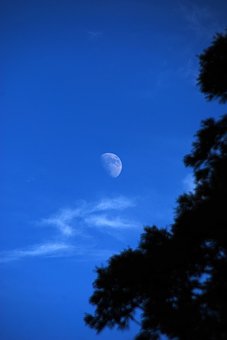 310914
