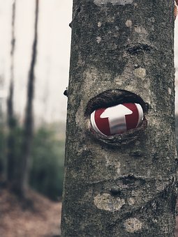 34525