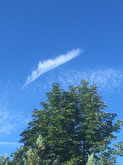 204091