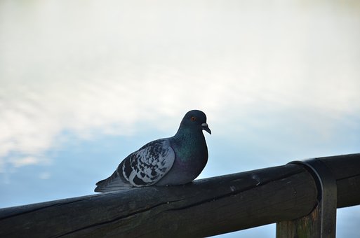 340520
