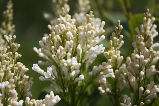 201204