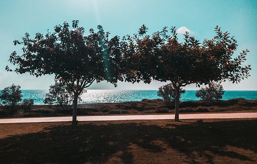 290435