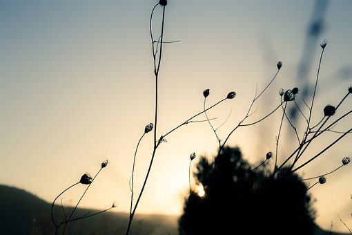 10501