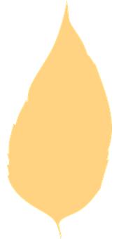 181238
