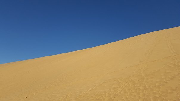 155354