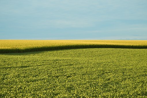 98858