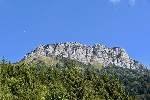 128004