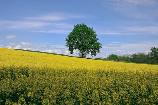 245235