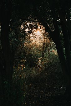199003