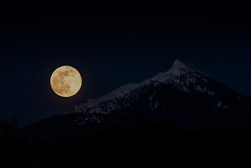 21502