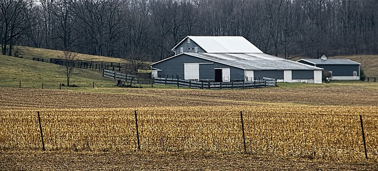 302348