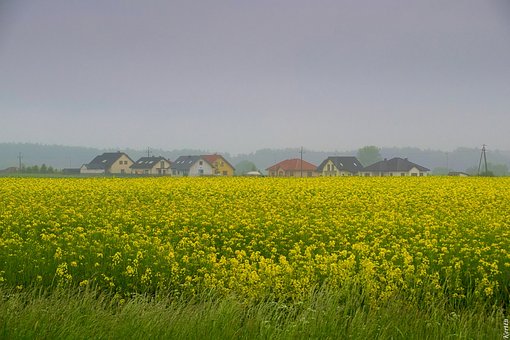 417221