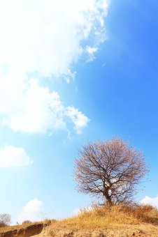 167464