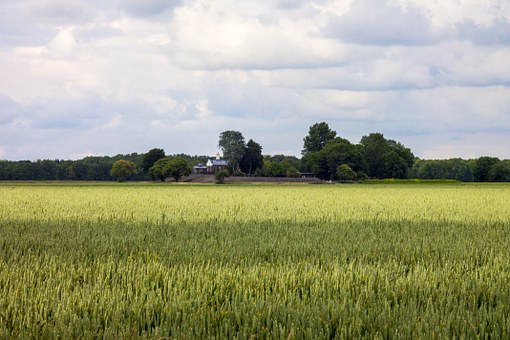 1924