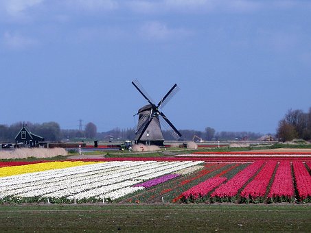 89885