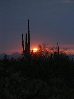 279273