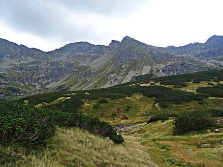 307414