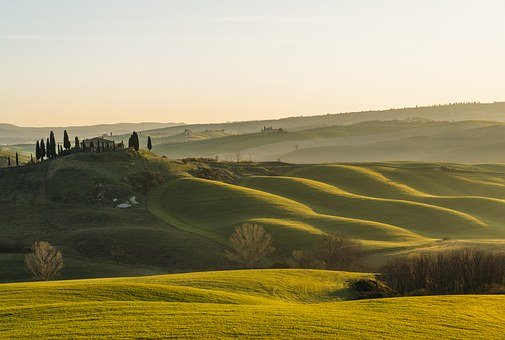 17311
