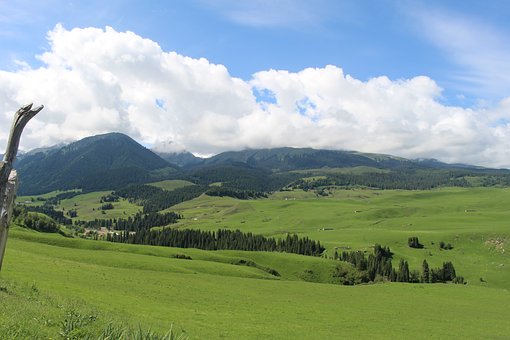 200802