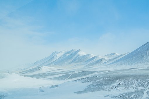 337491
