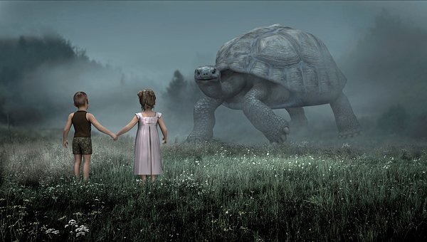 11653