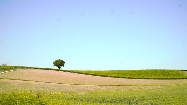 72050