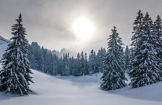 55383