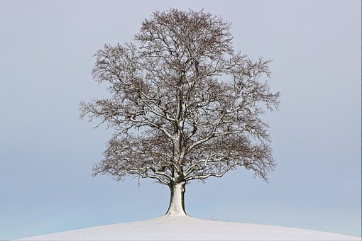 315485